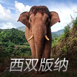 泳坛世锦赛决赛近，选手备战更紧张